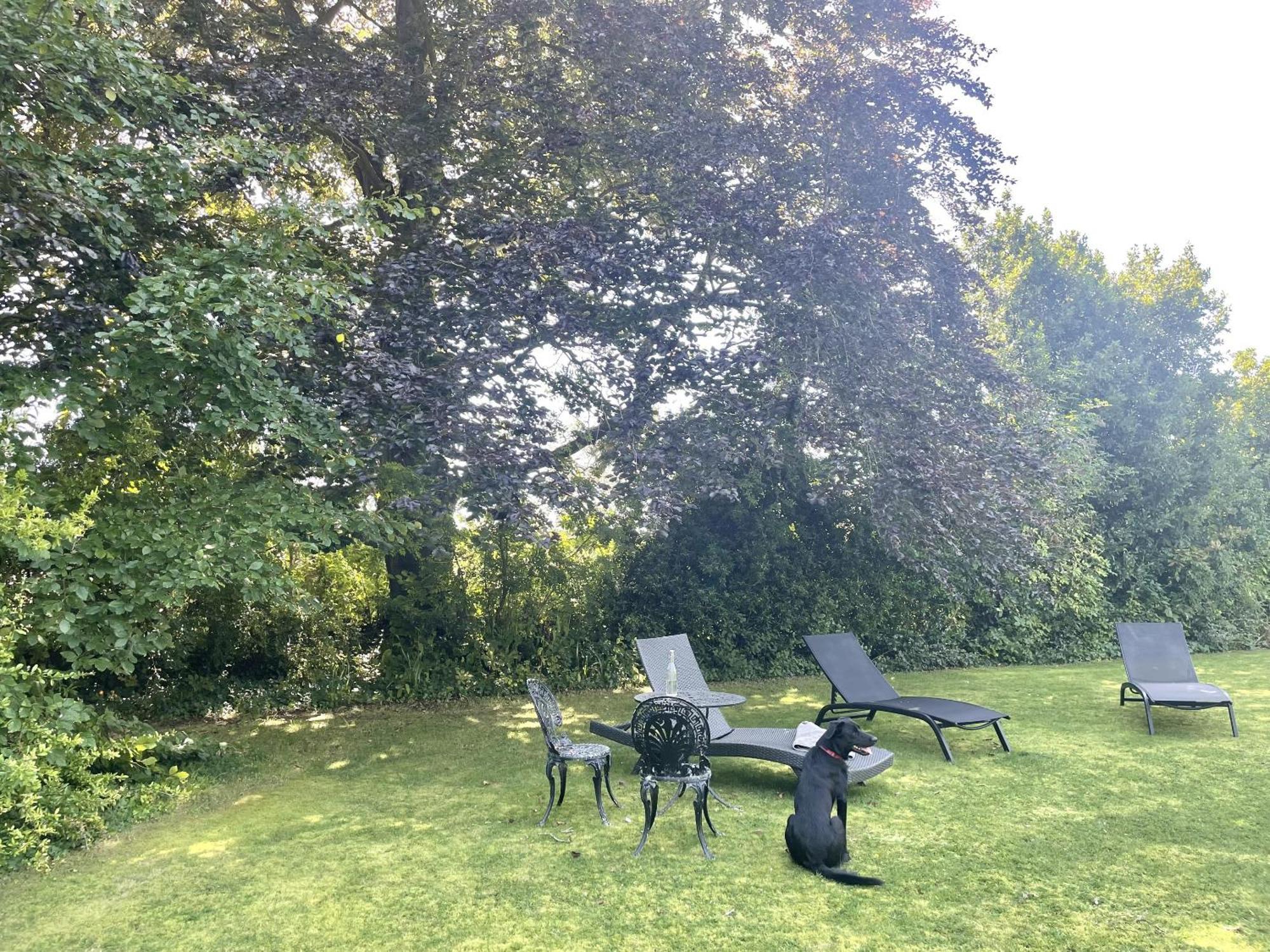 The Mount Somerton Retreat - Nr Bruton, Glastonbury, The Spectacular Wells Cathedral, Millfield School, Leonardo Helicopters, Yeovilton Somerton (Somerset) Exterior foto